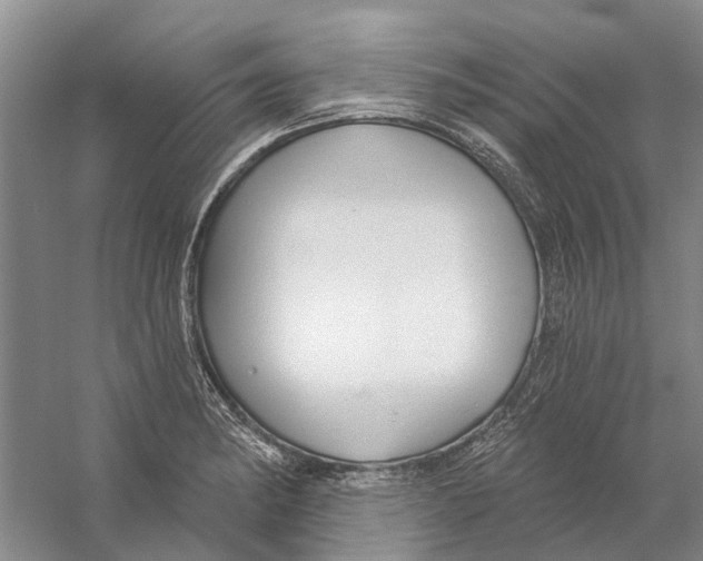 X0000056351182200509232057