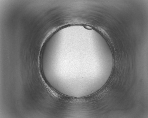 X0000056351183200509232057