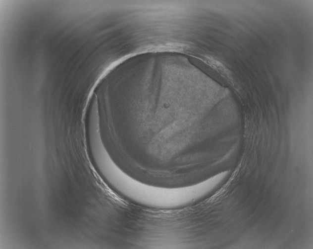 X0000056351184200509232057