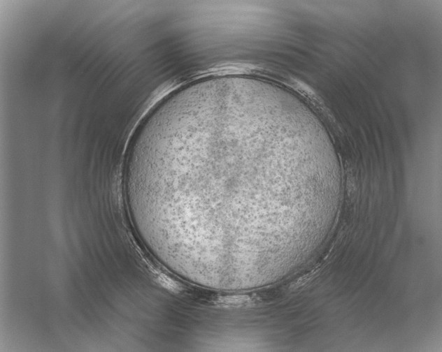 X0000056351186200509232057