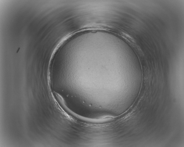 X0000056351188200509232057