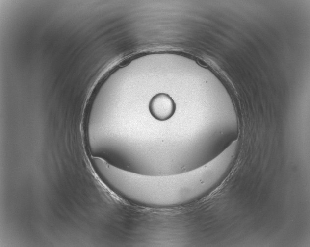 X0000056351189200509232057