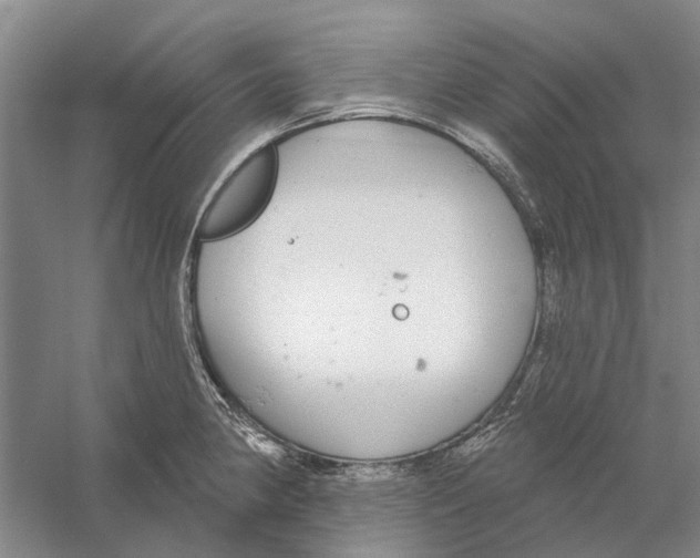 X0000056351190200509232057