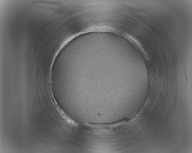 X0000056351192200509232057