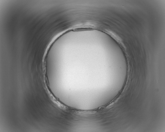 X0000056351200200509232057