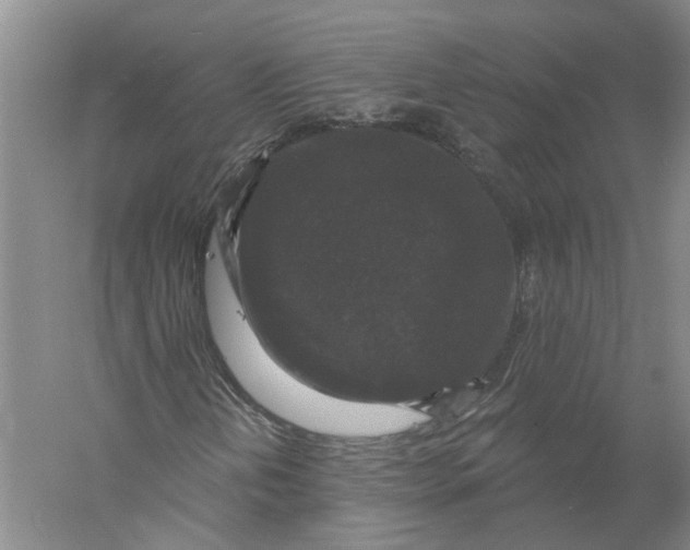 X0000056351202200509232056