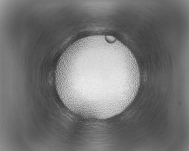 X0000056351204200509232056