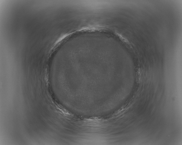 X0000056351206200509232056