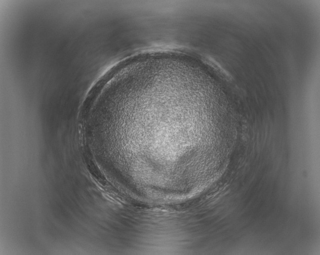 X0000056351208200509232056