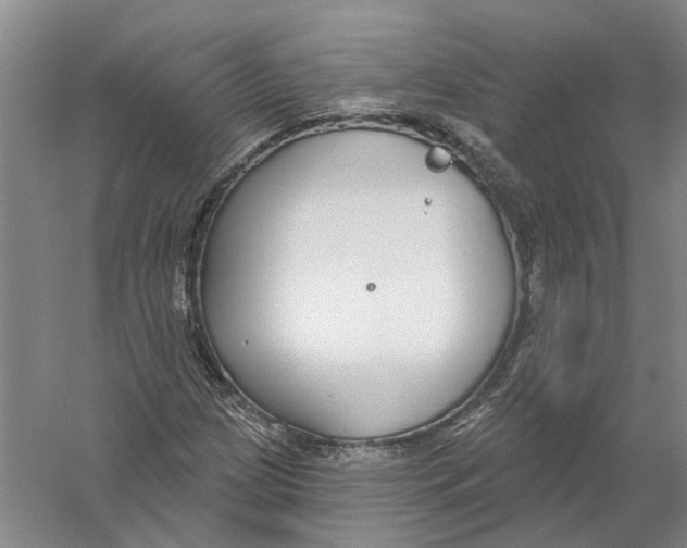 X0000056351209200509232056