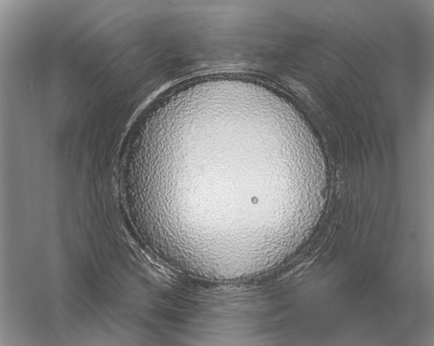 X0000056351212200509232056