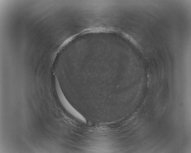 X0000056351213200509232056