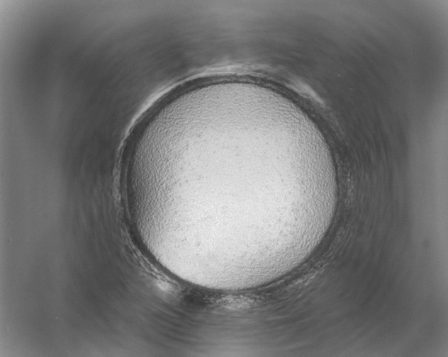 X0000056351216200509232056