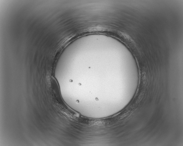 X0000056351217200509232056