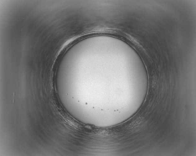 X0000056351222200509232056