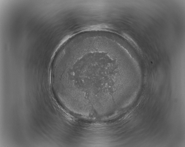 X0000056351224200509232056