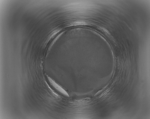 X0000056351225200509232056