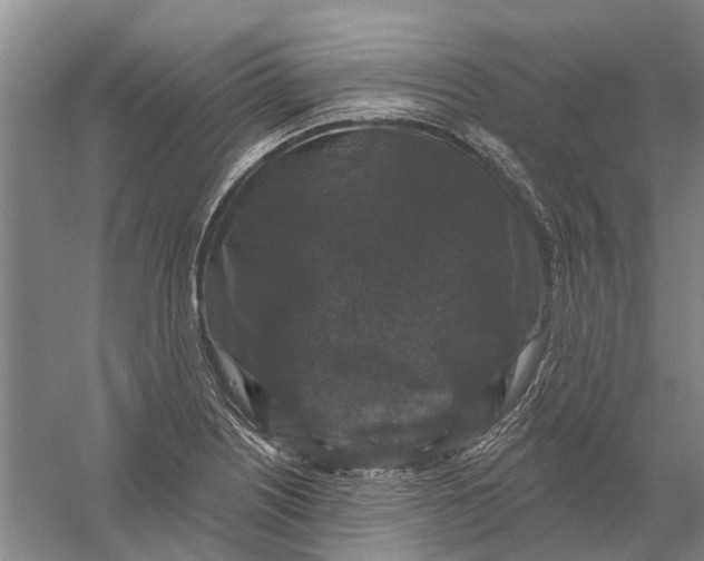 X0000056351226200509232057