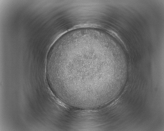 X0000056351228200509232057