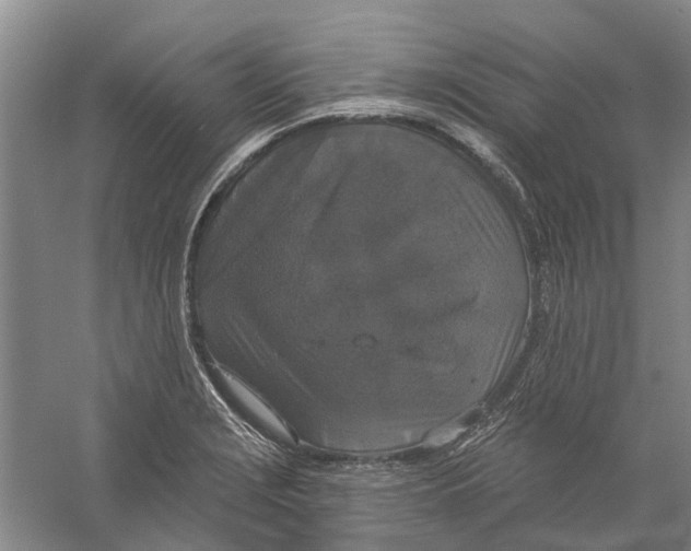 X0000056351229200509232057