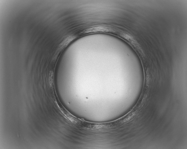 X0000056351233200509232057