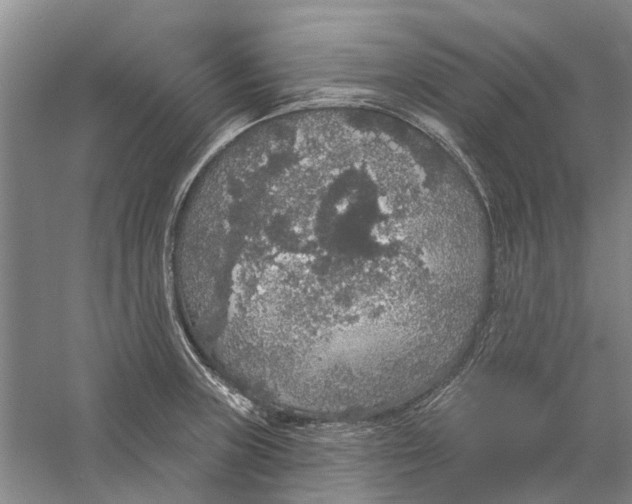 X0000056351235200509232057