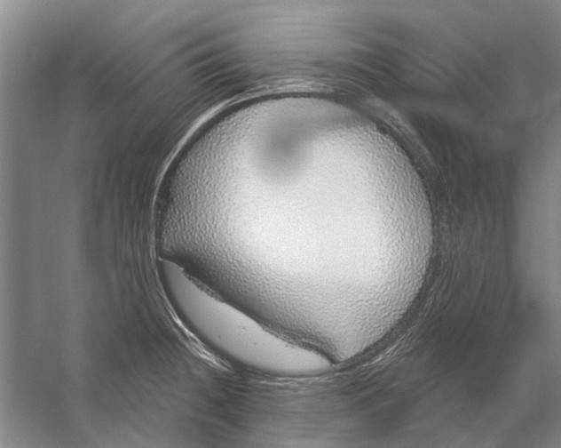 X0000056351236200509232057