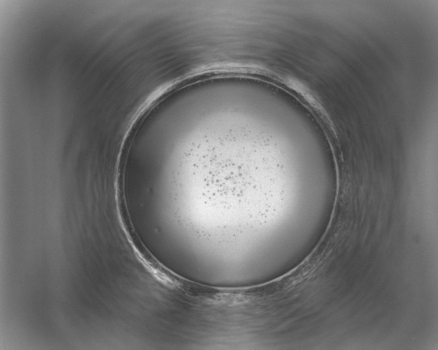 X0000056351237200509232057