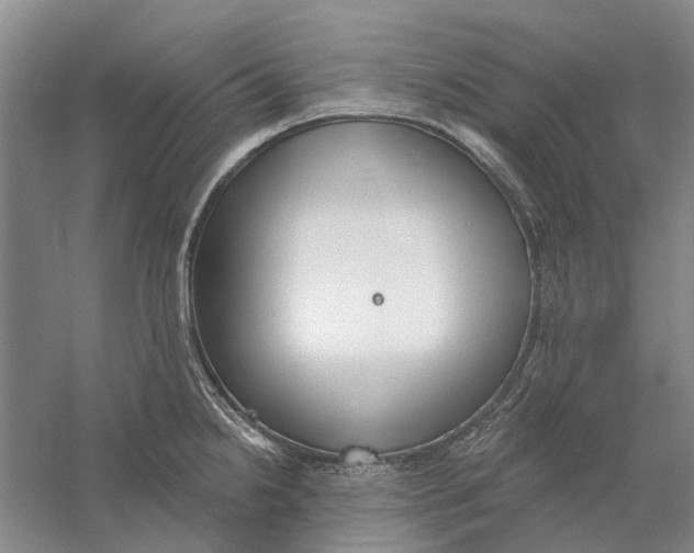 X0000056351238200509232057