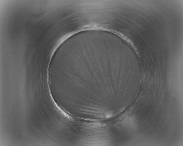 X0000056351239200509232057