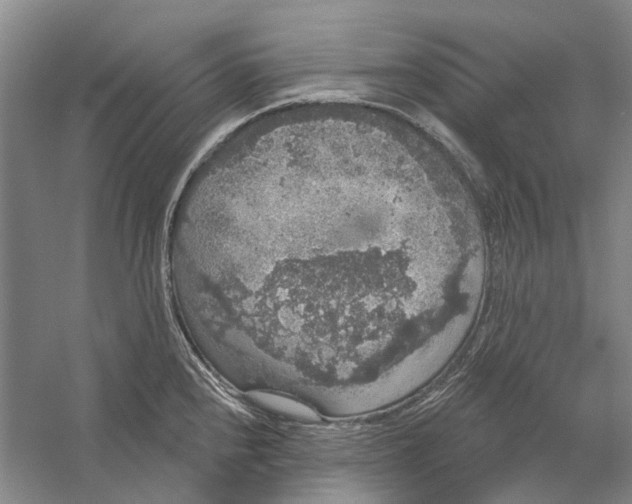 X0000056351240200509232057