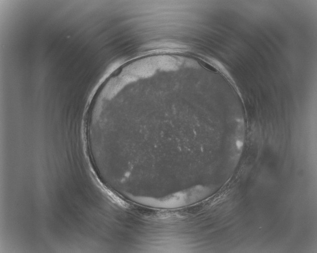 X0000056351243200509232057