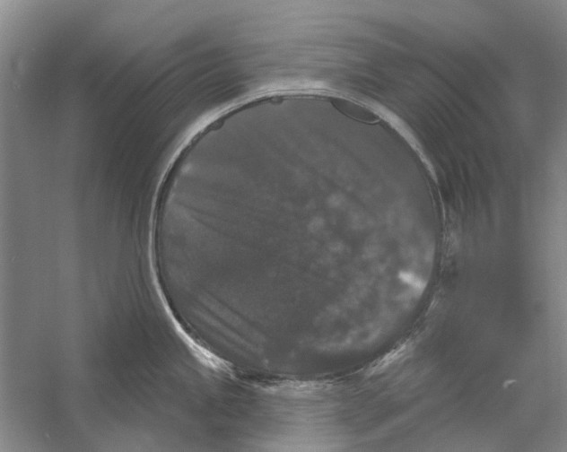 X0000056351245200509232057