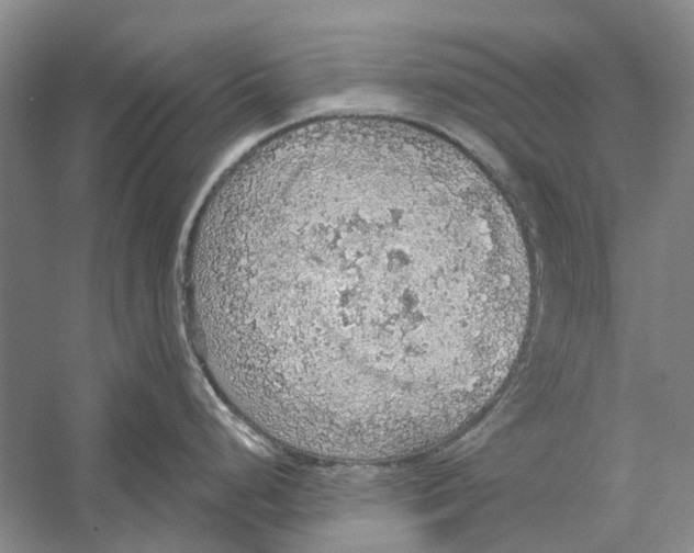 X0000056351248200509232057