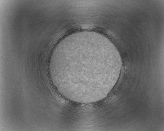 X0000056351249200509232056