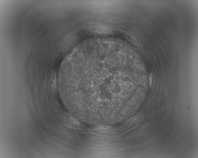 X0000056351251200509232056