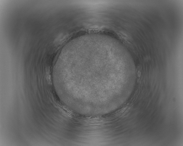 X0000056351252200509232056