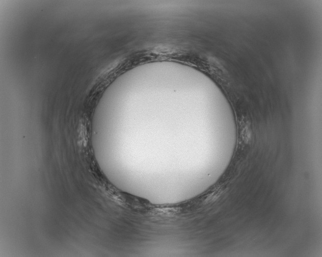 X0000056351253200509232056