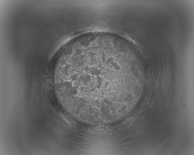 X0000056351255200509232056