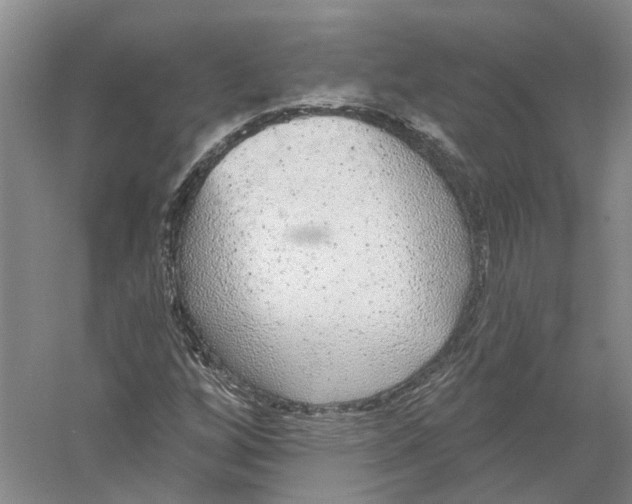 X0000056351256200509232056