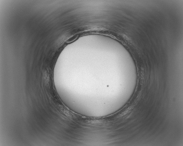 X0000056351257200509232056