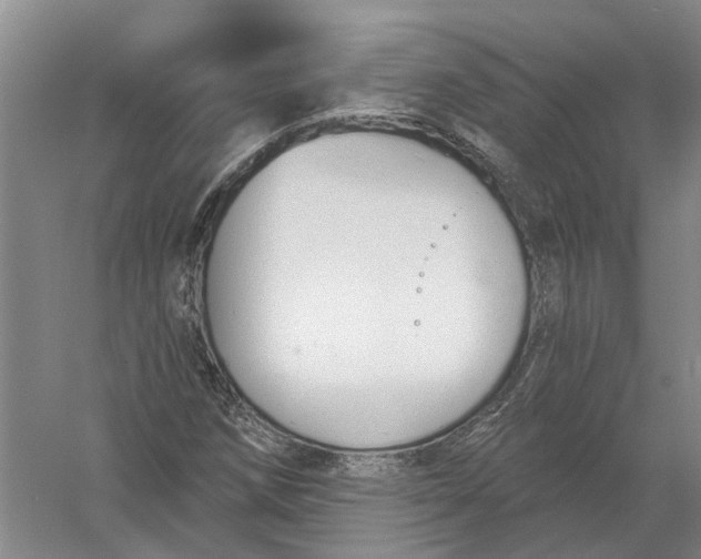 X0000056351258200509232056