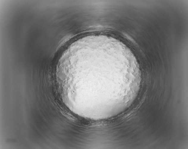 X0000056351259200509232056