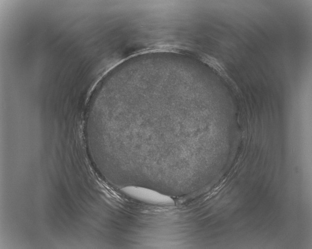 X0000056351260200509232056