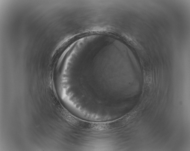 X0000056351262200509232056