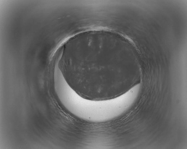 X0000056351263200509232056