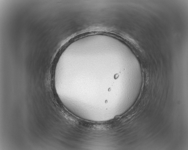 X0000056351264200509232056