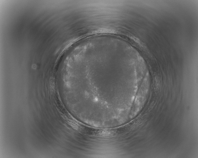 X0000056351266200509232056