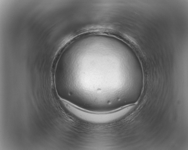 X0000056351267200509232056