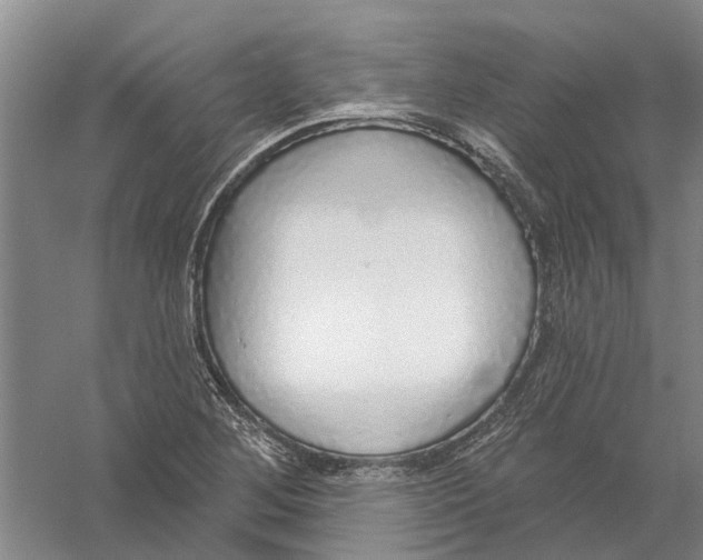 X0000056351268200509232056